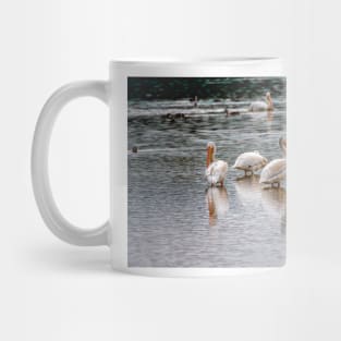 Early Morning Pelicans Mug